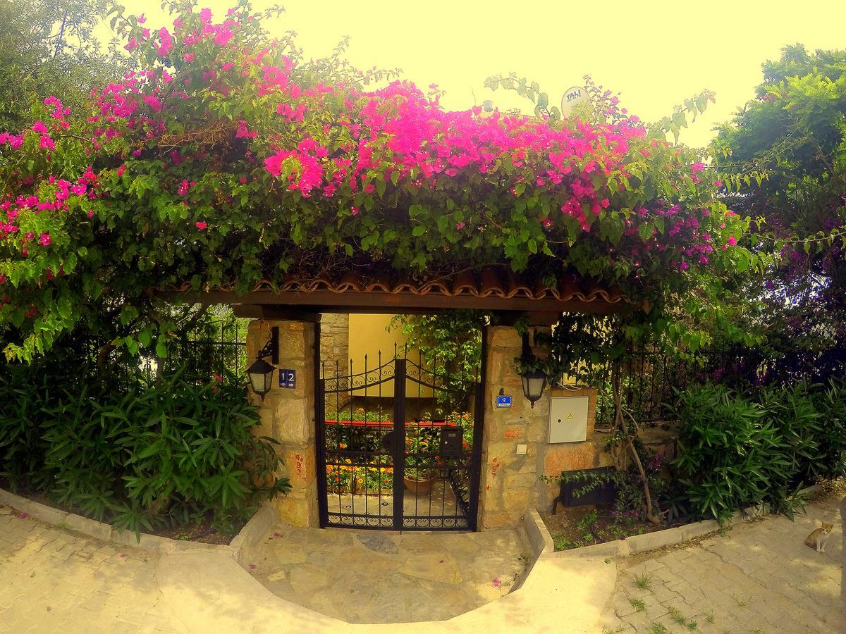 Villa Cosy Yalikavak Exterior photo